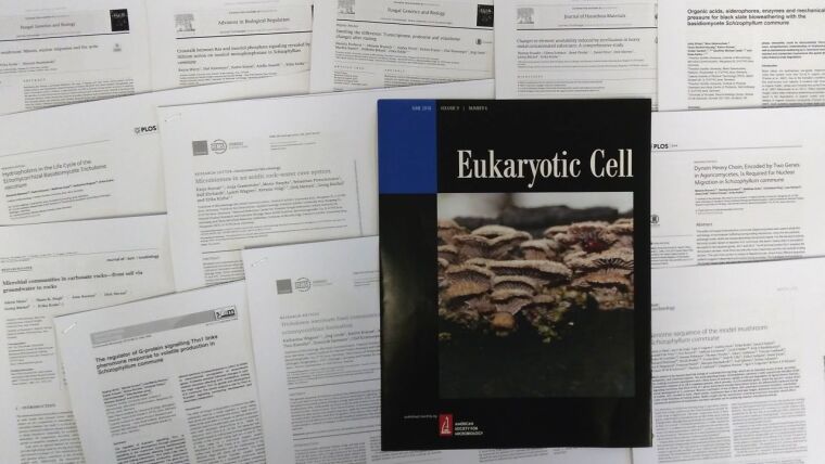 Collage: Cover of Eukaryotic Cell 9/2010 (Bild E.-M. Jung) and publications of the working group.